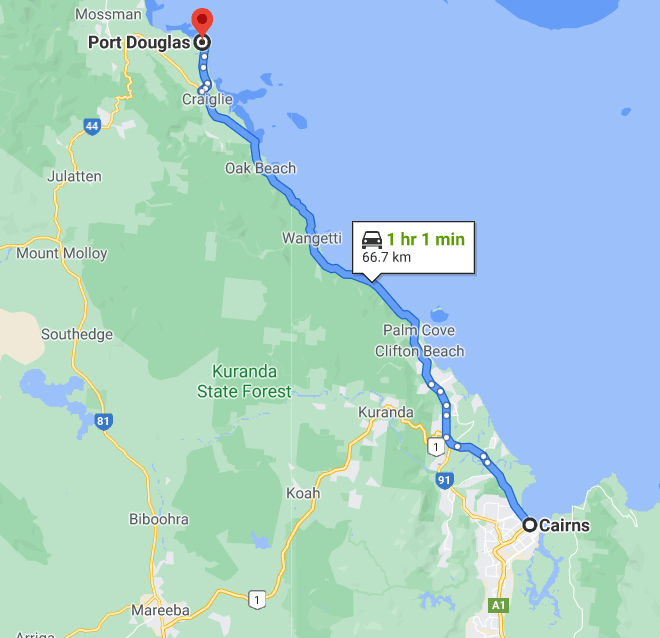 travel from port douglas to cairns